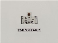 藏品(小紅瓢蟲)的圖片